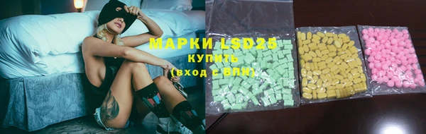 стаф Абинск