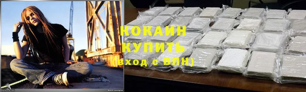 ГАЛЛЮЦИНОГЕННЫЕ ГРИБЫ Абаза