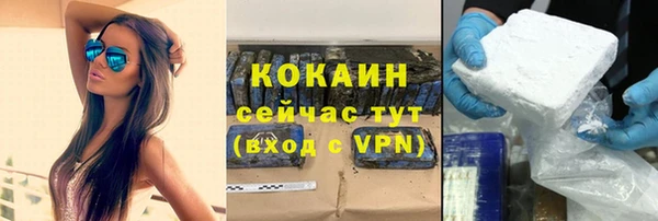 стаф Абинск