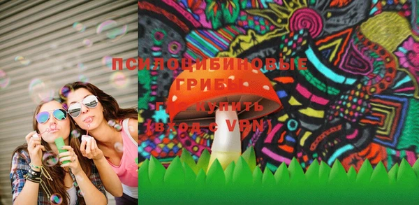 стаф Абинск