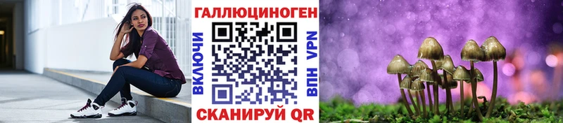 как найти закладки  Хадыженск  Псилоцибиновые грибы ЛСД 